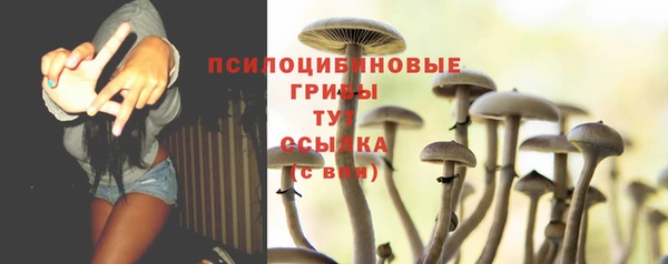 бутират Баксан