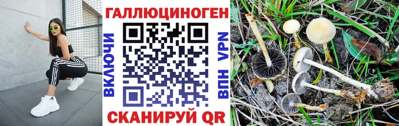 Галлюциногенные грибы прущие грибы  магазин продажи наркотиков  Ленск 